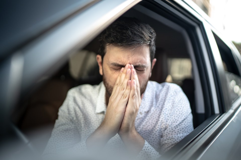 Motors experts have revealed an easy car cleaning job that can help beat hay fever this summer