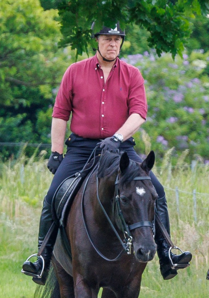 Andrew riding a horse on the Windsor grounds