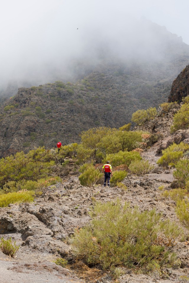 Emergency workers are searching a desolate park on foot