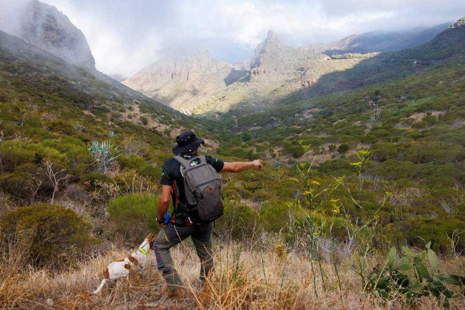 a man with a backpack and a dog pointing to a mountain