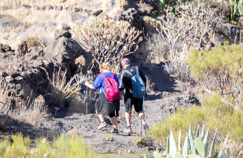 Only six volunteers turned up to the search despite it being labelled as a 'massive' search