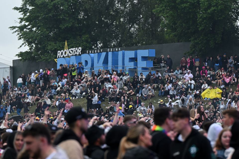 The brawl happened during the Parklife festival in Manchester over the weekend