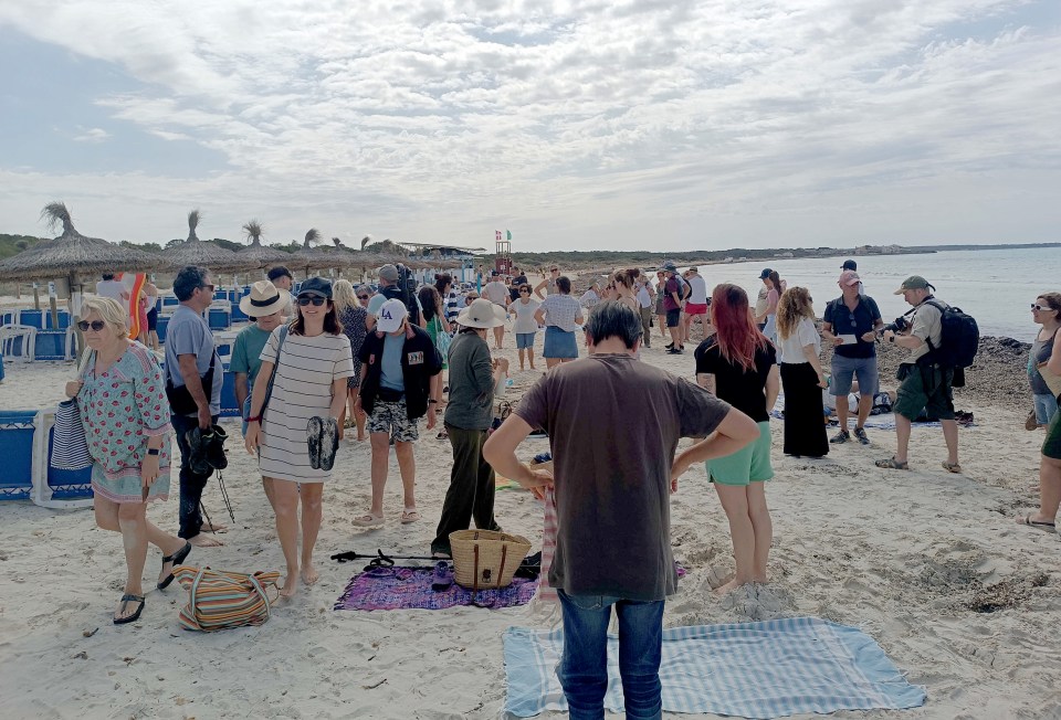 Demonstrators attempt to drive out tourists and keep them off Majorcan beaches