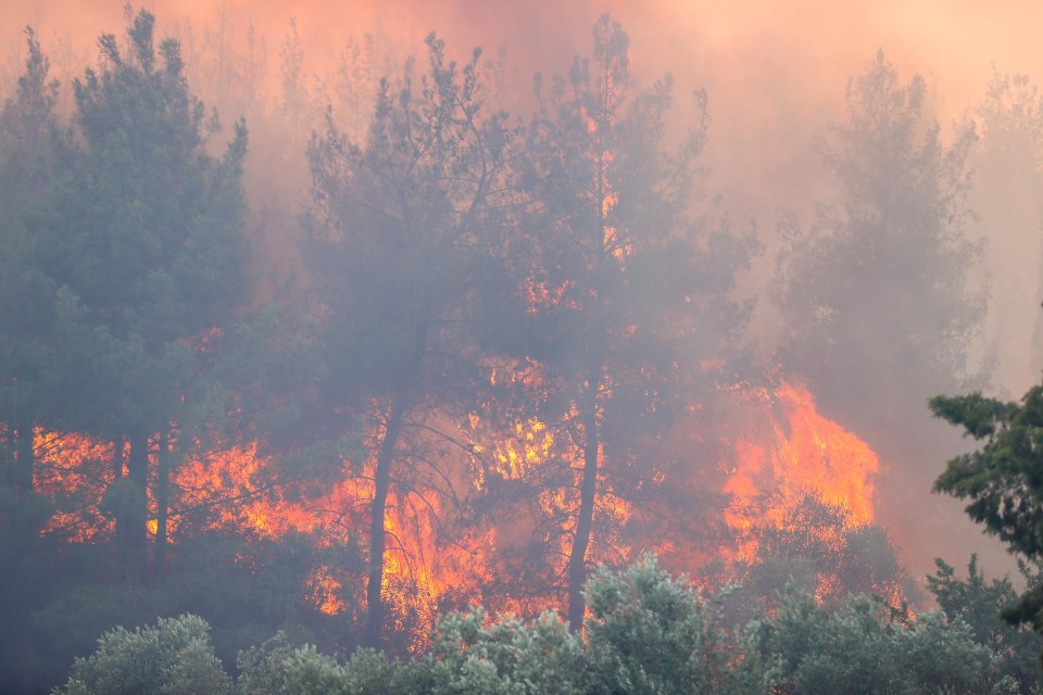 Flames rise after a forest fire broke out in the Selcuk district of Izmir, Turkiye