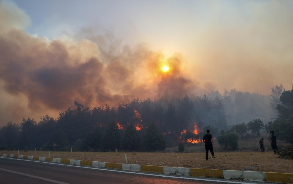 Firefighters watched on as the flames spread across the treeline