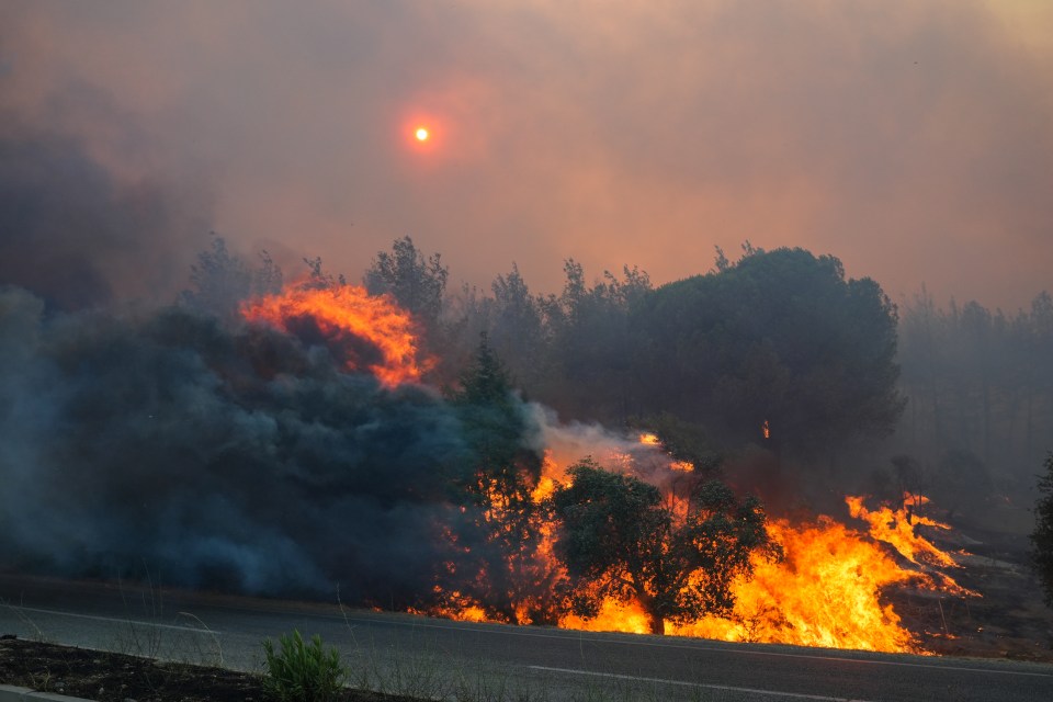 Tourists were told they may have to leave if the fires posed a threat