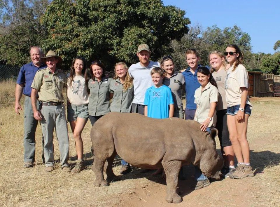 Hugh Grosvenor, fourth from right in a blue shirt, with his pal Prince Harry at a rhino conservation project in South Africa 2015