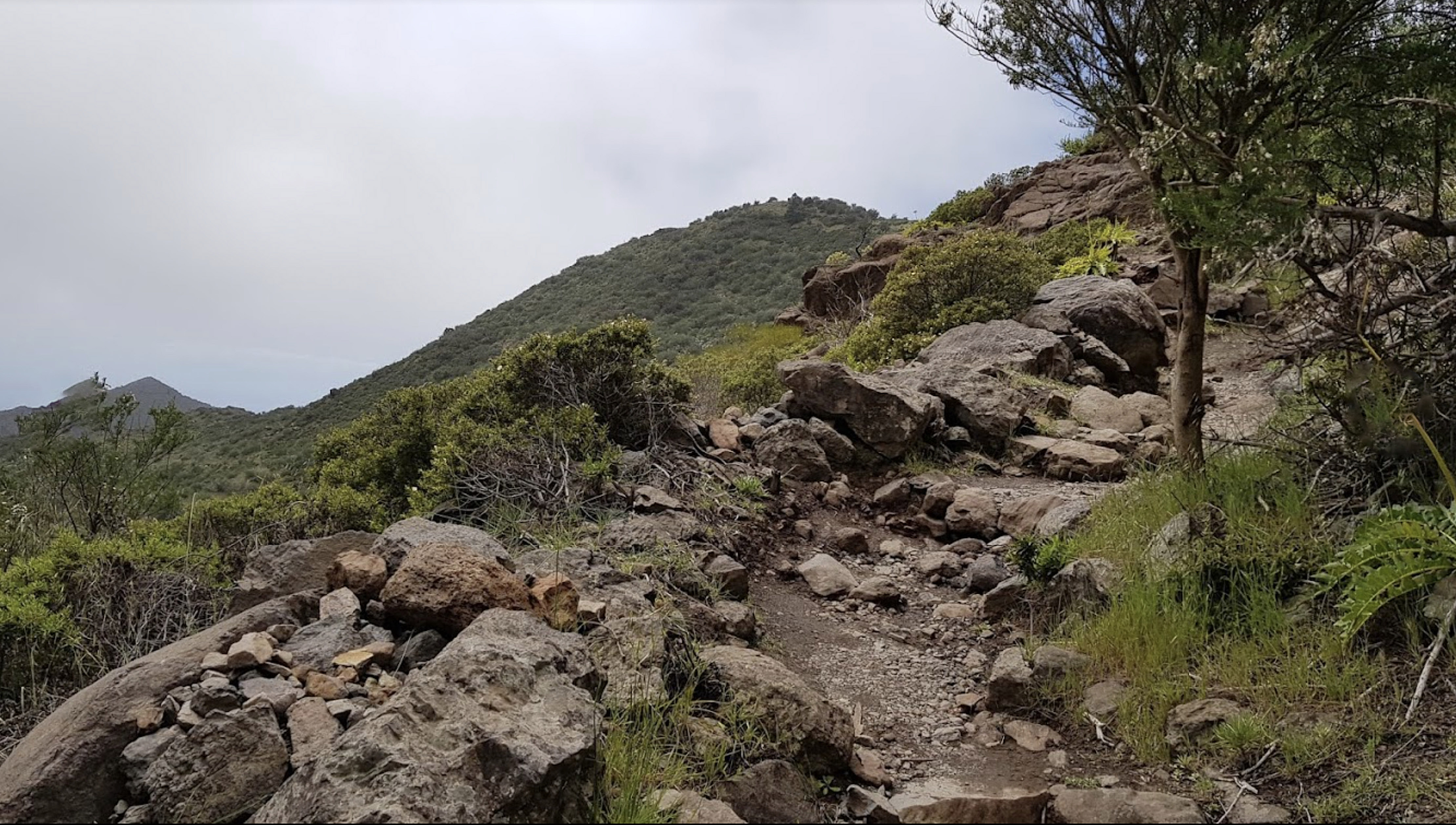 The Brit teen's last known location was the Teno Rural Park