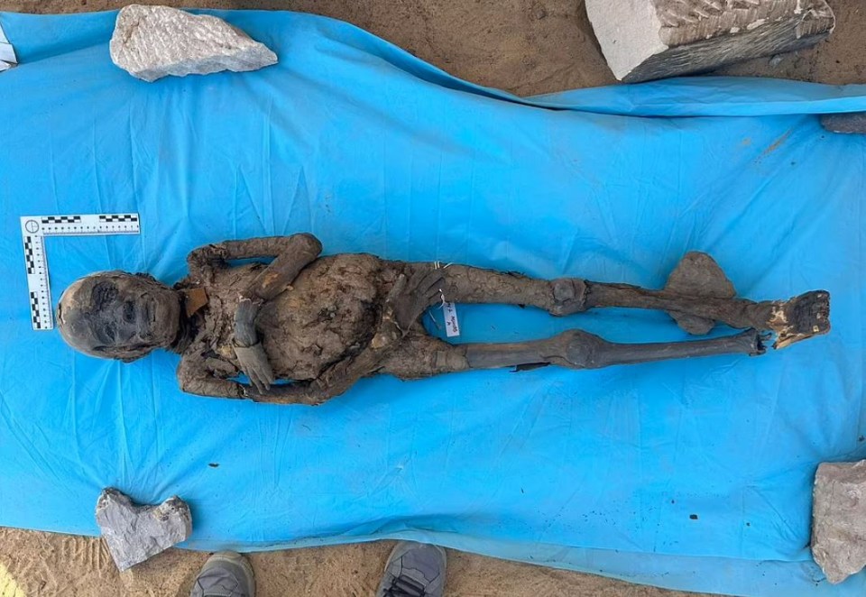 Human remains of ancient Egyptians who walked the Earth 2,500 years ago have been discovered