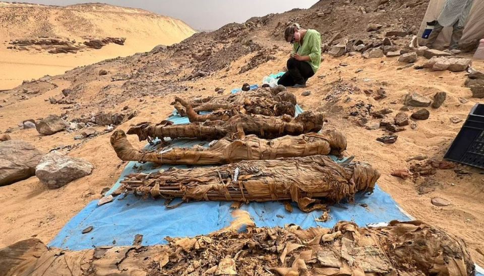 The incredible burial site uncovered 36 new tombs