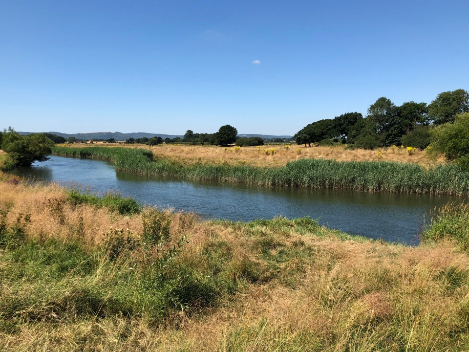 RSPB Pulborough Brooks Nature Reserve is full of wildlife and offers great views across the South Downs