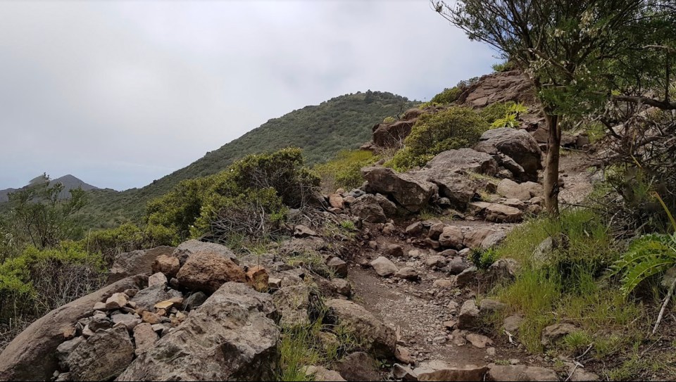 The Brit teen's last known location was in hiking spot Teno Rural Park