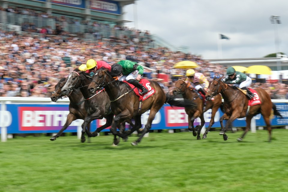 The 3yo Dash is one of the fastest races in the world but was marred by tragedy on Derby day at Epsom