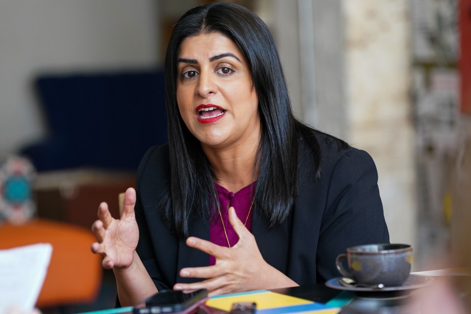 Shadow justice secretary Shabana Mahmood said the move would deliver on a promise originally made by the Tories