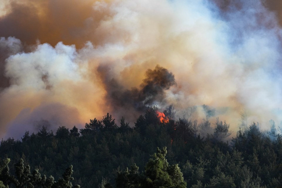 Smoke rises over the forest in the Selcuk district of Izmir, Turkey