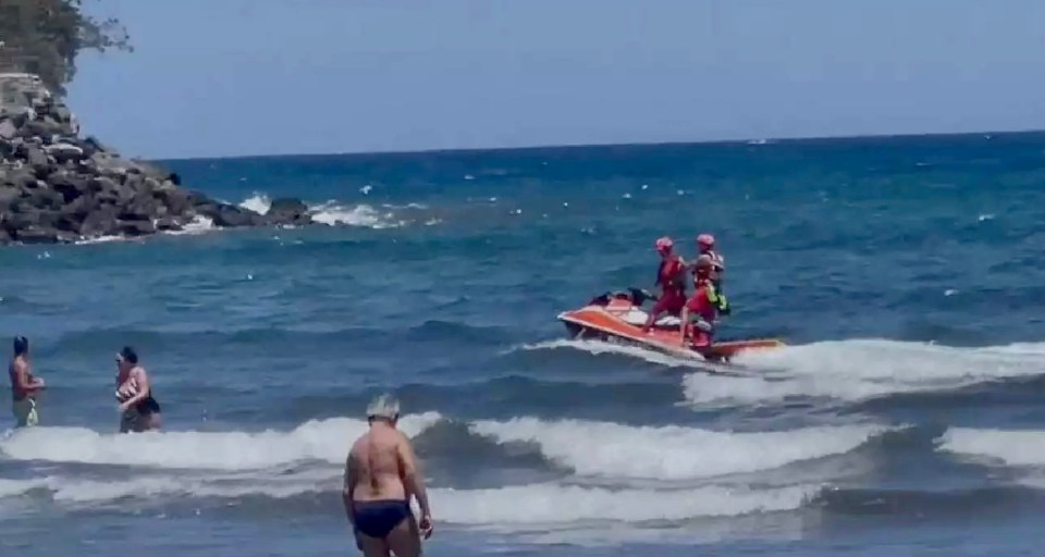 A search for the shark in the area using jet skis failed to locate it