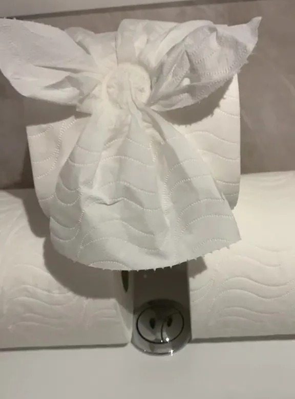 This glam loo roll is for show purposes only, Courtney revealed