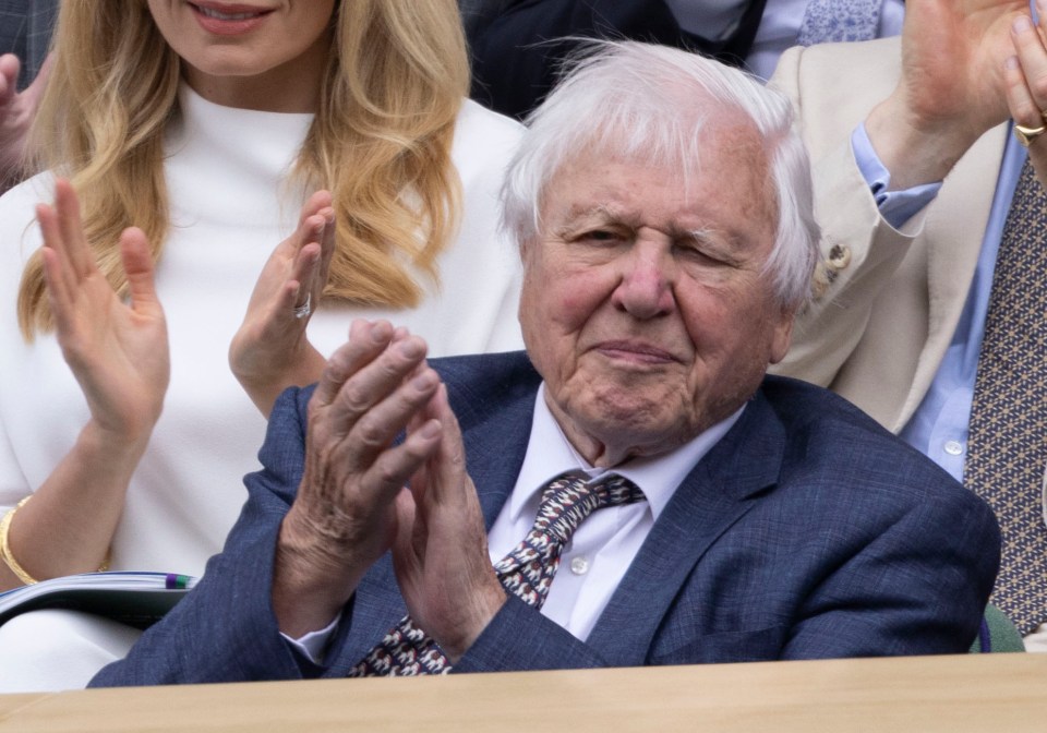 Sir David Attenborough played a part in the balls changing from white to yellow