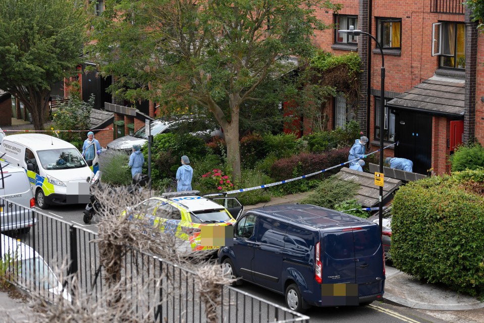 Police erected a crime scene at the west London property after the Met took over the manhunt