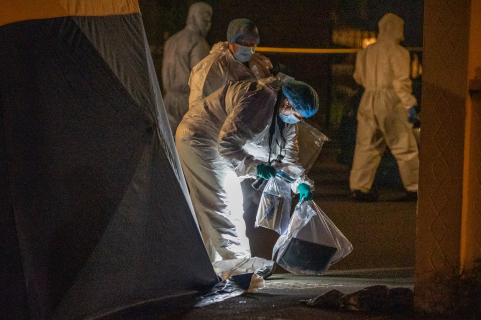 Forensic officers at the scene in Lower Clapton