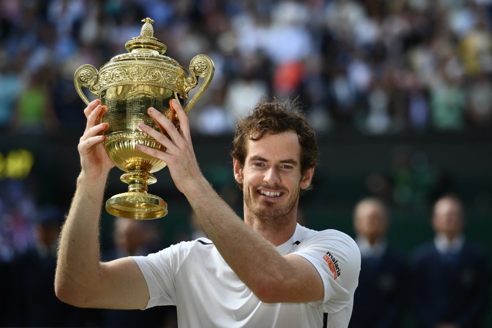 Andy Murray won Wimbledon for a second time in 2016