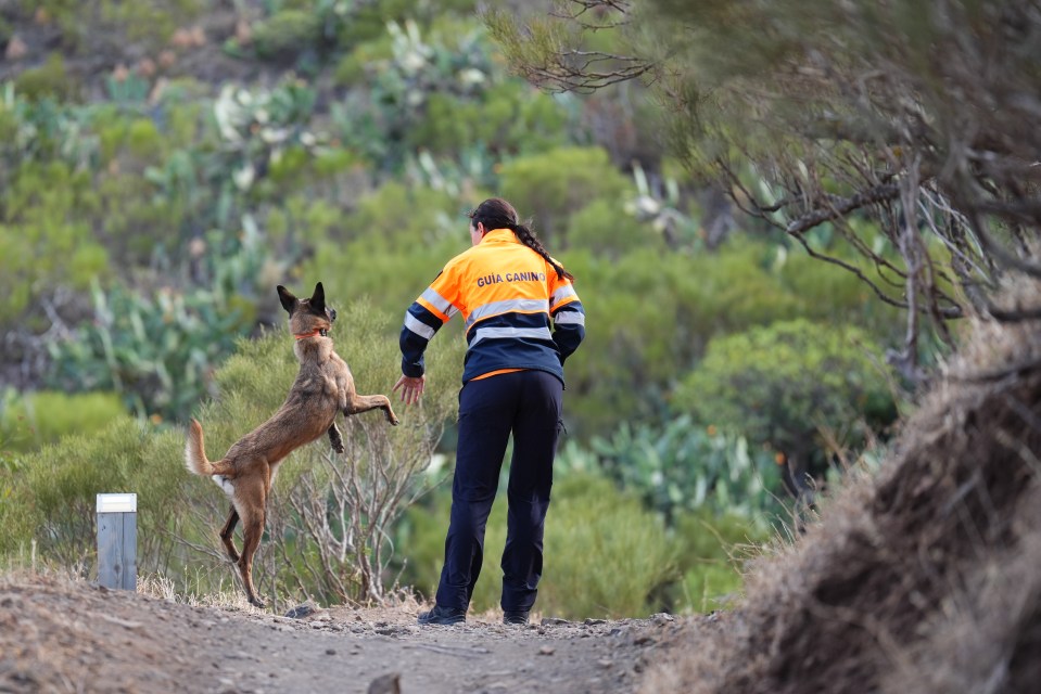 A huge search operation was launched to try to find Jay, here a dog and its handler is pictured combing the landscape