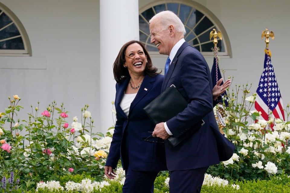 Joe Biden is not going to run for another term as US President and Kamala Harris has stepped into his place