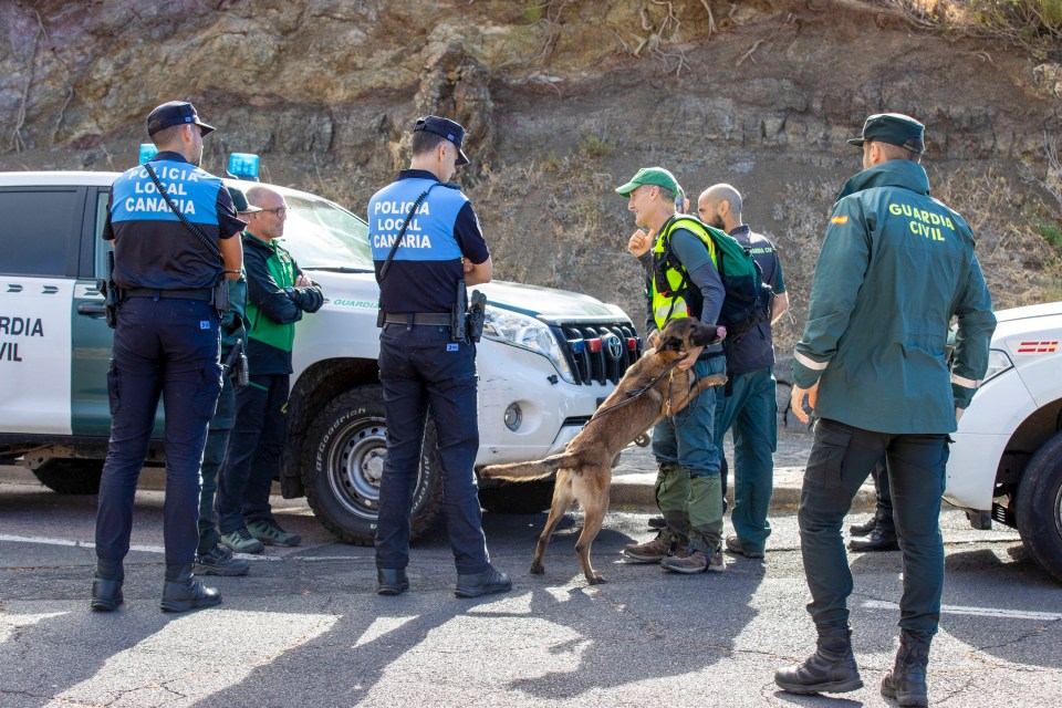 Police, mountain rescue, volunteers and sniffer dogs out in the mountains hunting for Jay last week