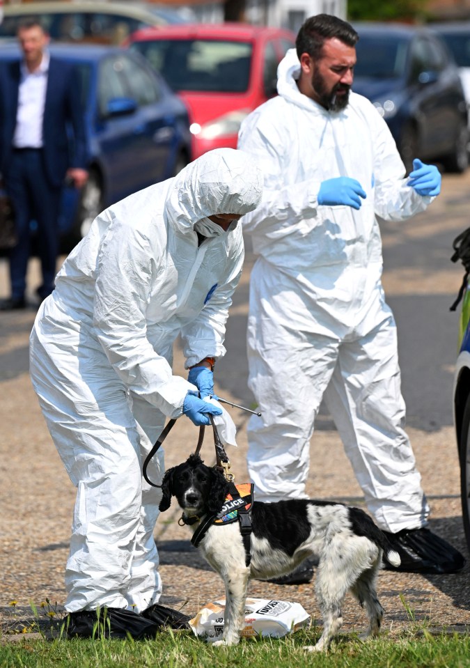 Forensic officers and a dog on the scene at Mooring Road in Rochester