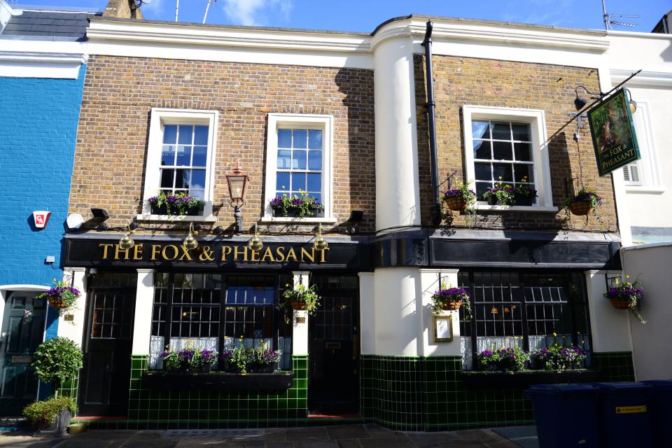 James Blunt says his Chelsea pub The Fox & Pheasant is like a 'little country village in London'