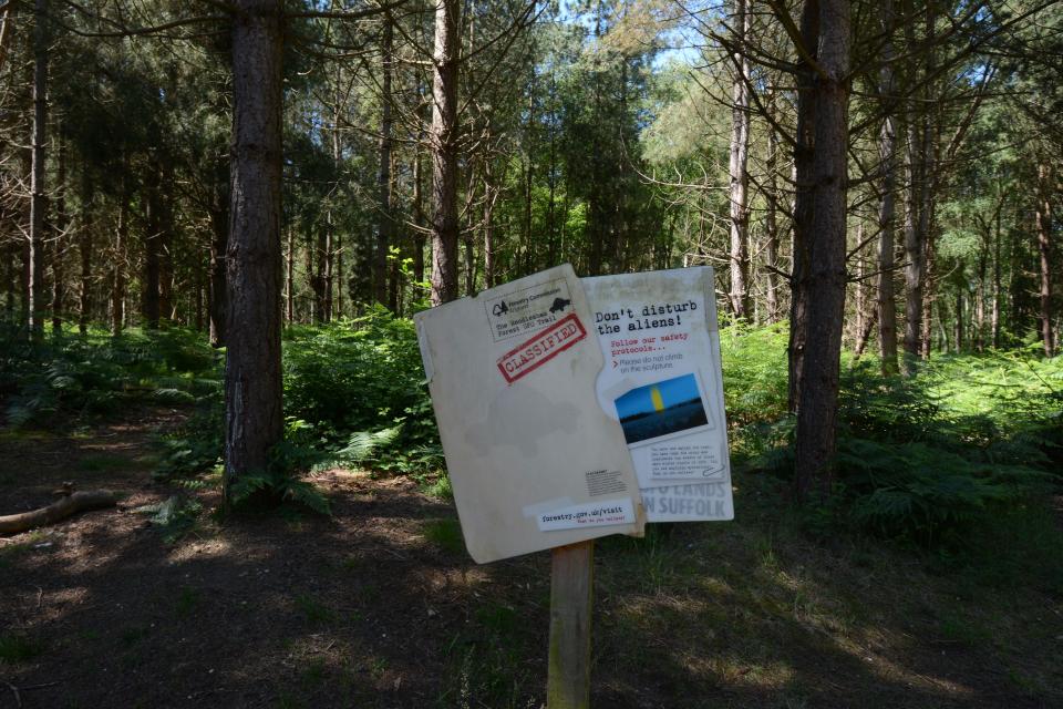 A sign in Rendlesham Forest, where there were a series of reported sightings of unexplained lights