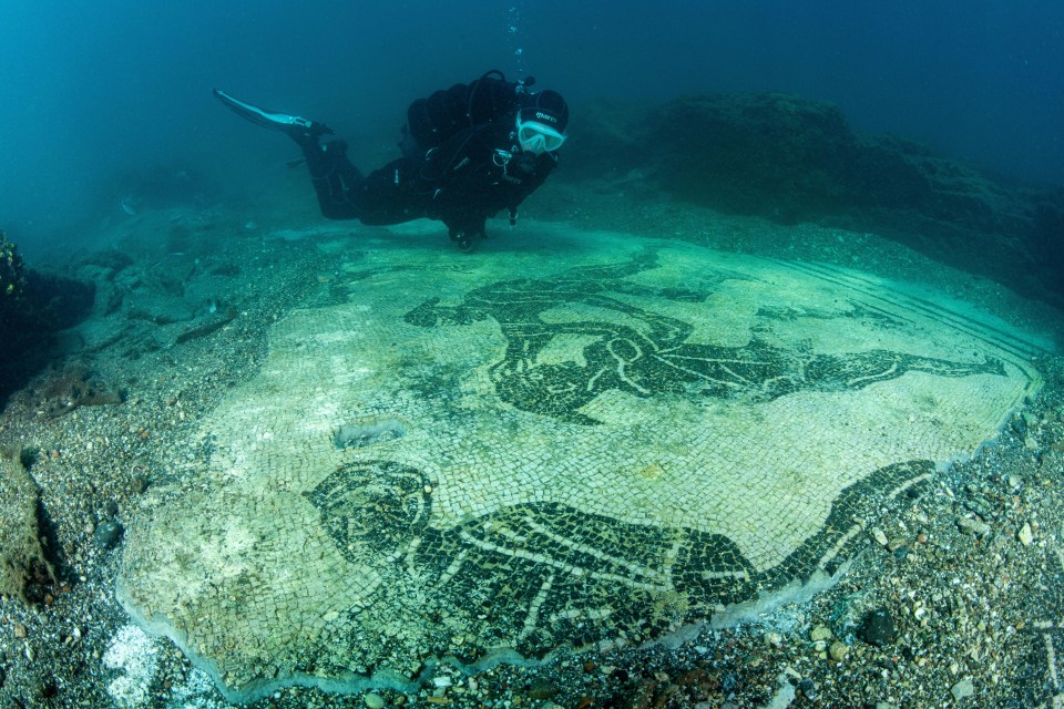 Divers have discovered a stunning mosaic floor in Baia