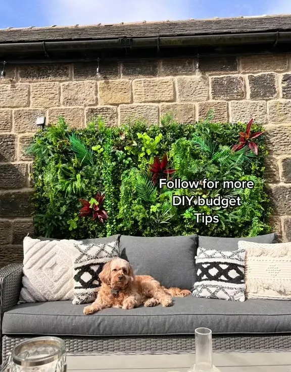 Social media users described the green wall as "amazing" and "lovely"