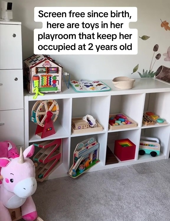 Instead, she's got a playroom packed full of wooden, educational toys