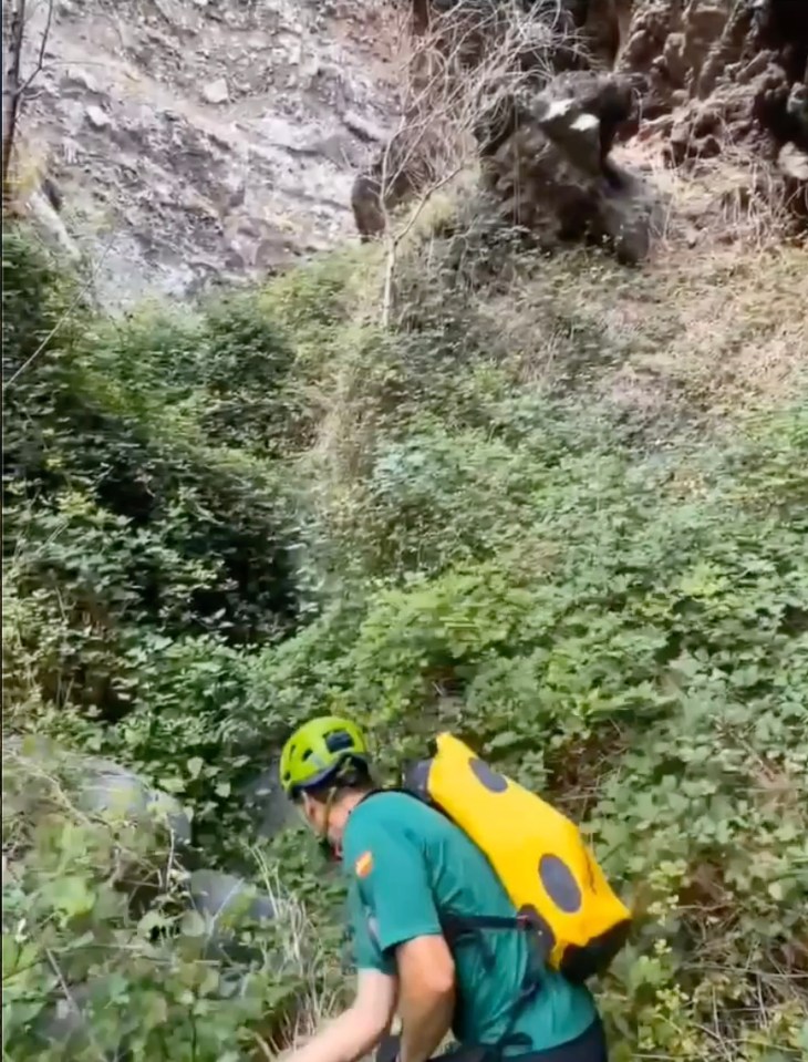 a man wearing a helmet and a yellow backpack is walking through a lush green forest .