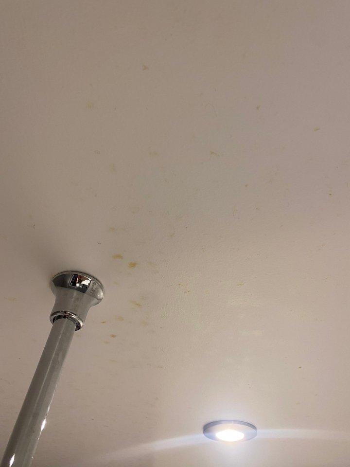 There were stains on the ceiling and on the carpet, which were off-putting