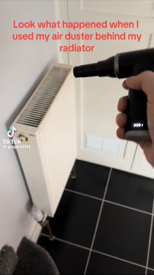 Using a air duster can get rid of it from hard-to-reach areas