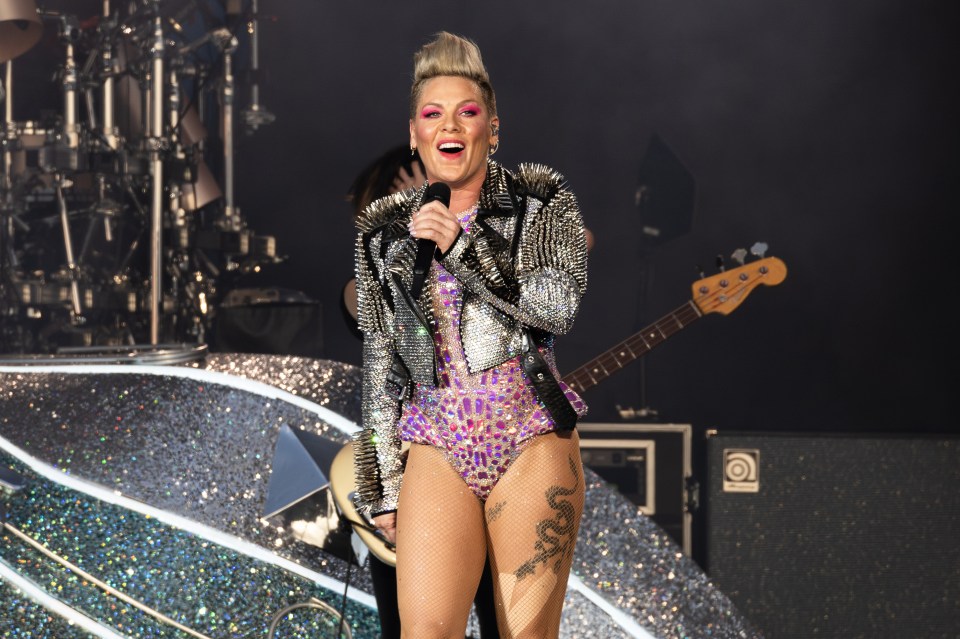 Pink has cancelled a huge gig tomorrow night in Bern, Switzerland