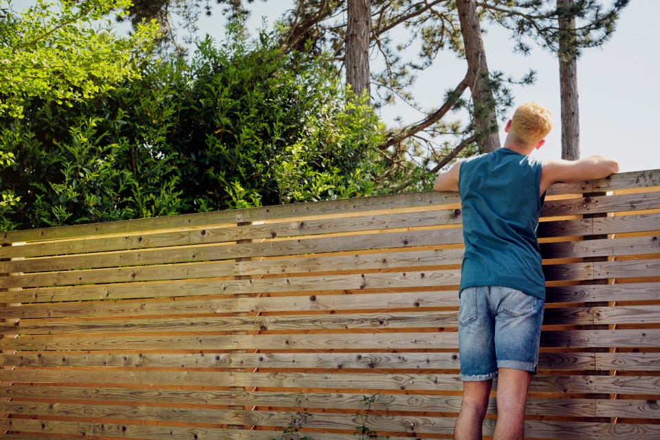 The expert shared tricks to keep your fence clean all year long