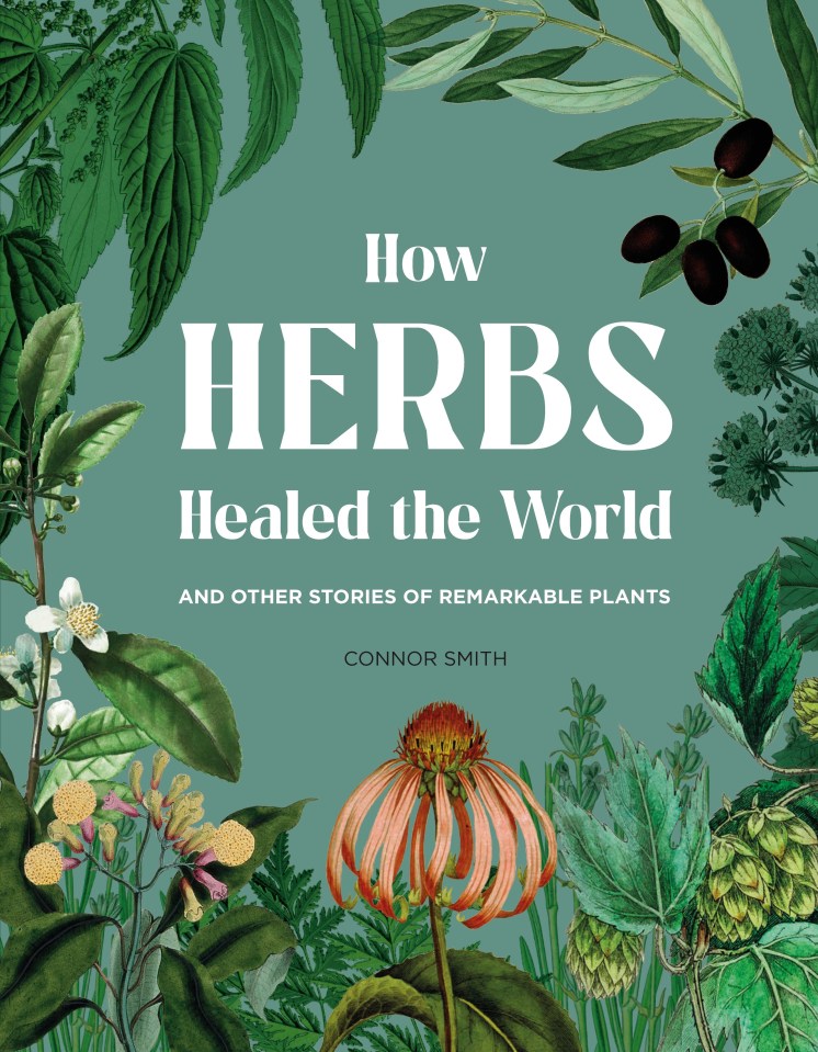 How Herbs Healed the World is out now, published by Quercus