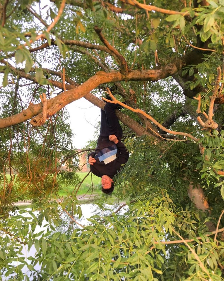 a man is upside down in a tree branch