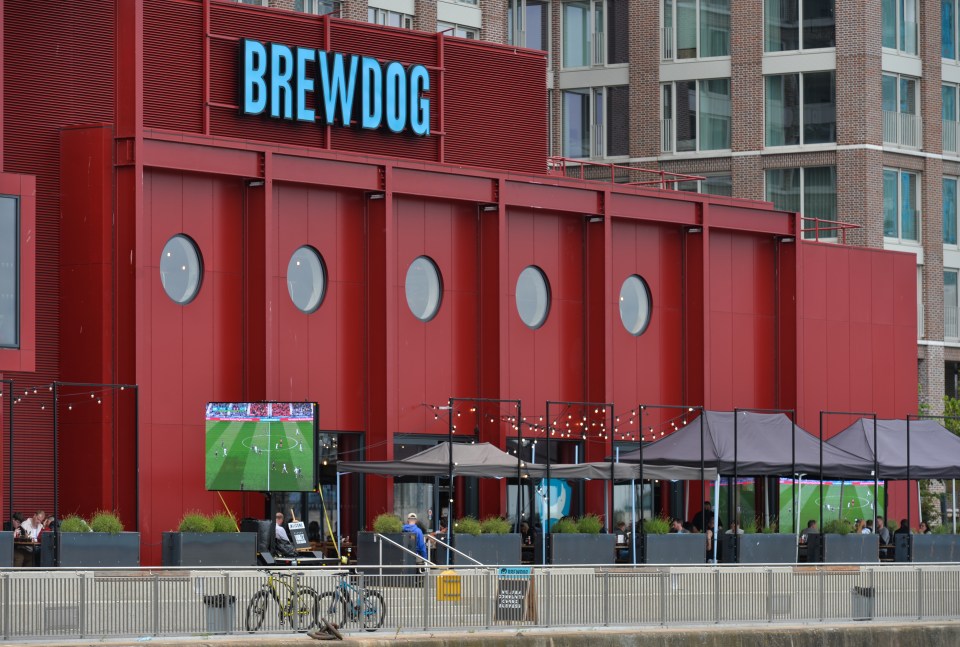 BrewDog is offering a free pint to UK voters during the General Election