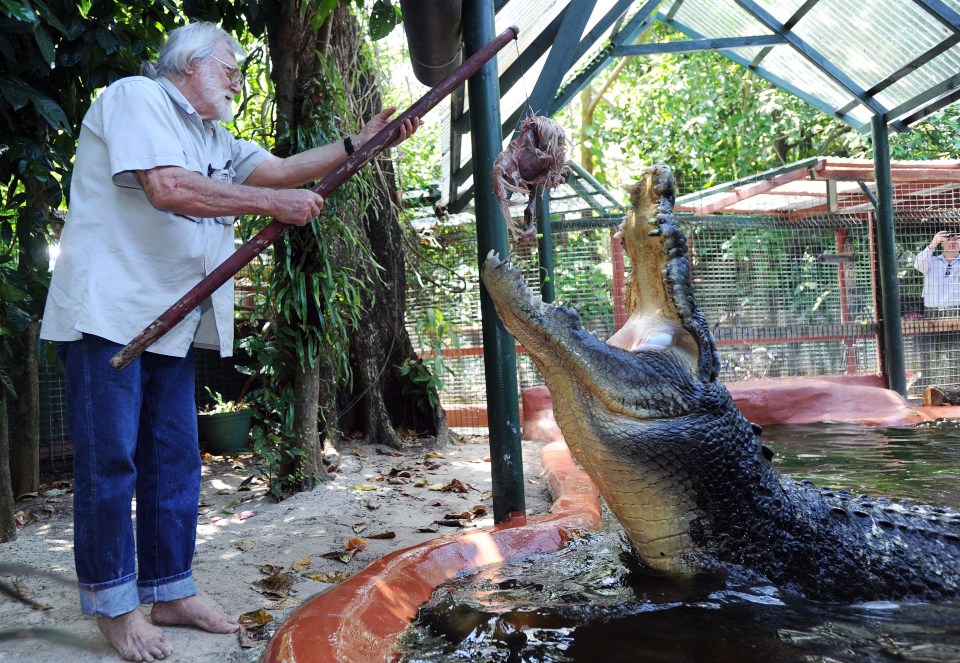 He was captured in the Northern Territory, Australia and then transported to Green Island in the 80s