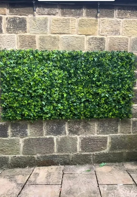 A savvy woman has proudly showed of her impressive DIY budget green wall