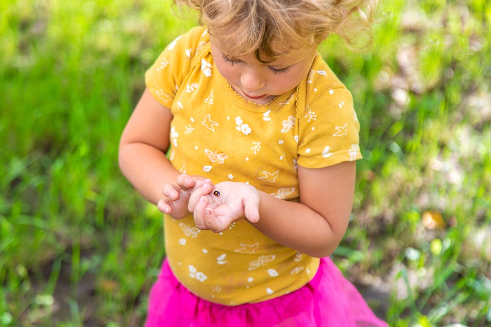 Kids love looking for insects