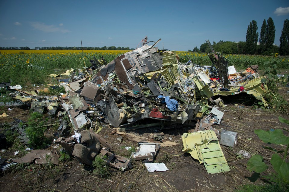 The cockpit crash site sits in a sunflower field in Ukraine