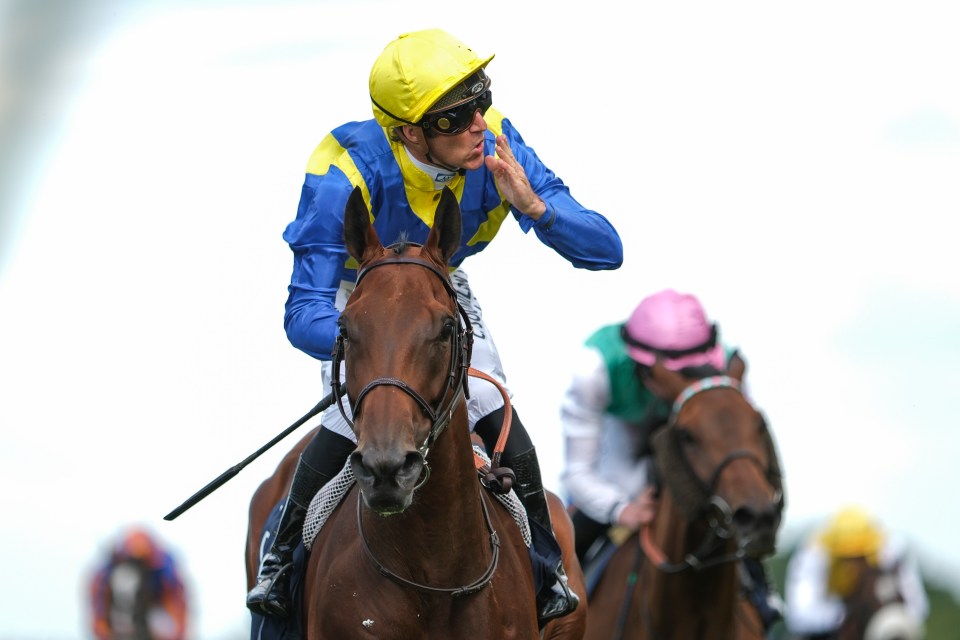 Goliath, owned by Stewart, won the King George at Ascot for French trainer Francis Henri-Graffard