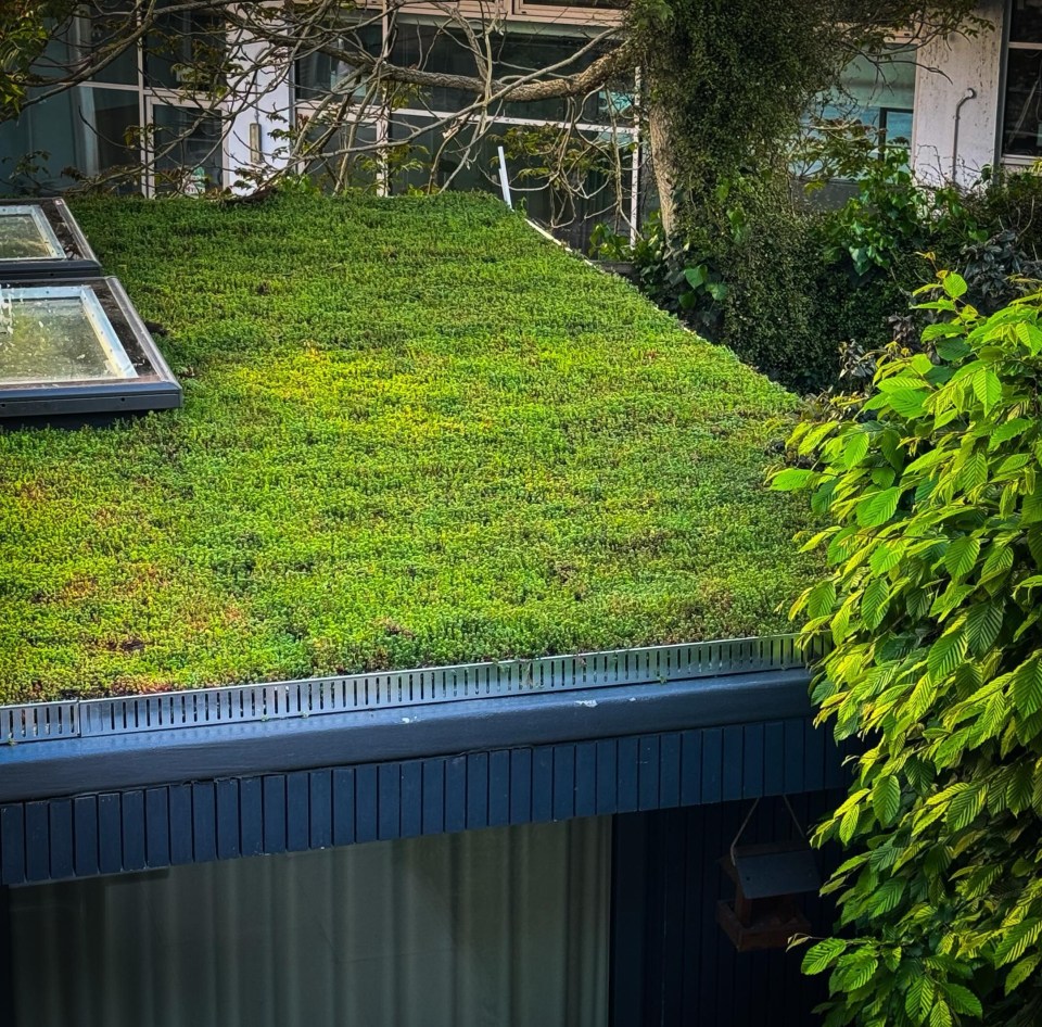 His house comes complete with a hidden garden studio