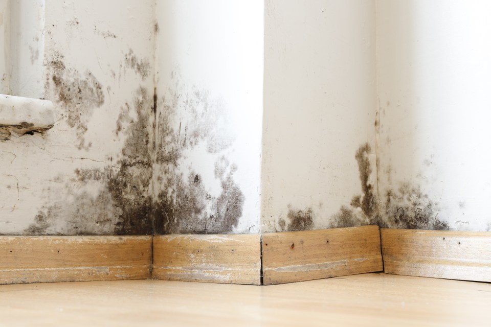 Even in the summer months mould can grow in homes