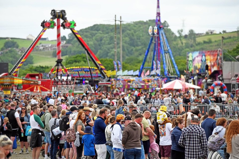 a crowd of people at a carnival with a ferris wheel in the background